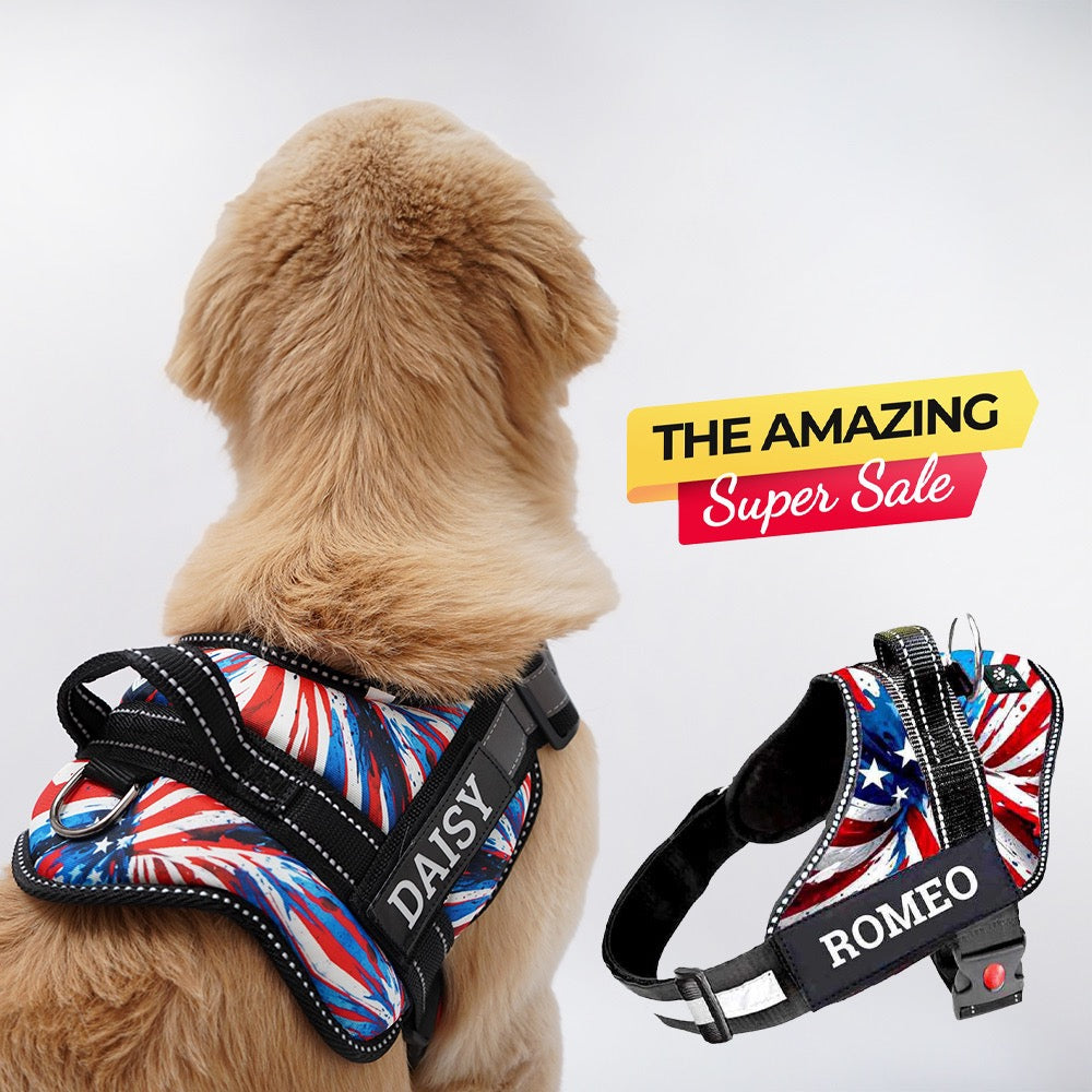 Personalized Dog Harness - AMERICAN DREAM