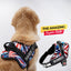 Personalized Dog Harness - AMERICAN DREAM