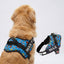 Personalized Dog Harness - ATOMIC POP