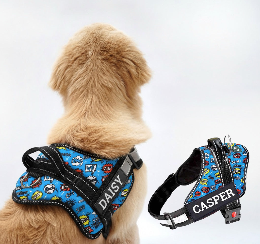 Personalized Dog Harness - ATOMIC POP