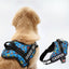 Personalized Dog Harness