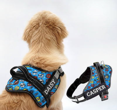 Personalized Dog Harness - ATOMIC POP