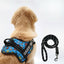 Personalized Dog Harness