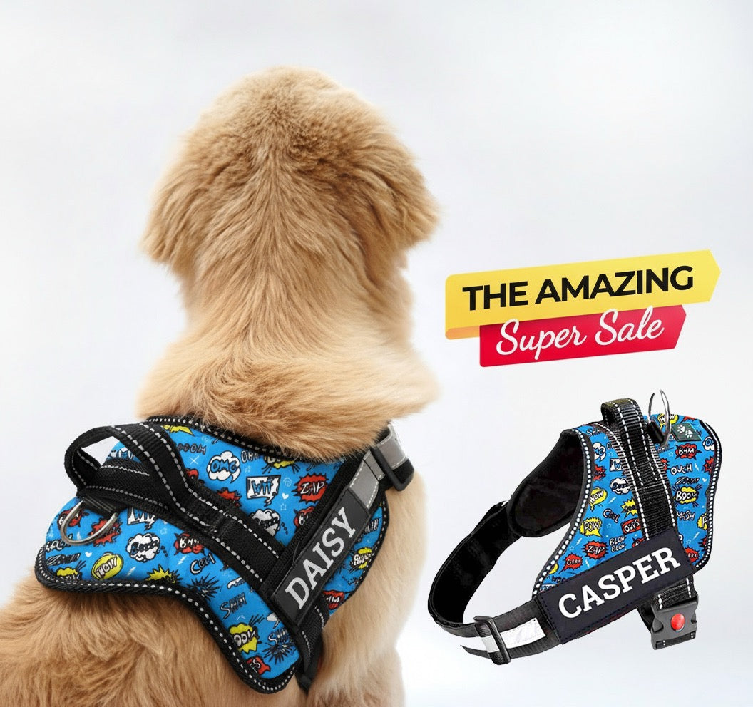 Personalized Dog Harness - ATOMIC POP