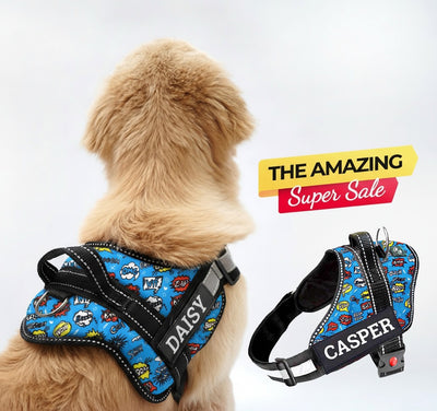 Personalized Dog Harness - ATOMIC POP