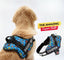 Personalized Dog Harness - ATOMIC POP