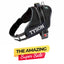 Personalized Dog Harness