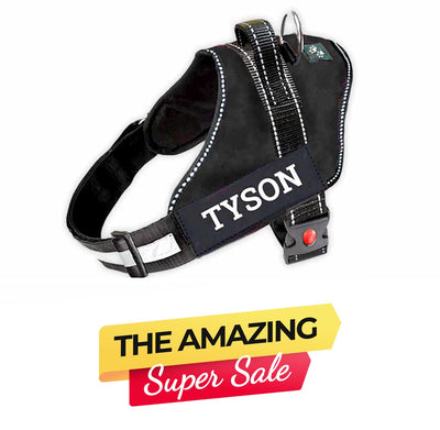 Personalized Dog Harness - BLACK