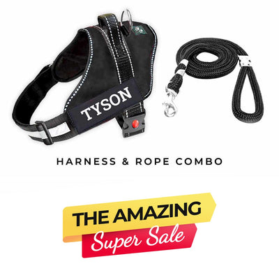 Personalized Dog Harness - BLACK