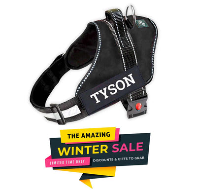 Personalized Dog Harness - BLACK