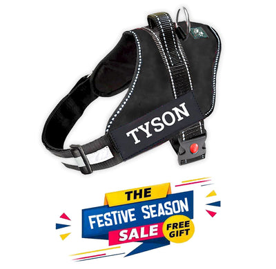 Personalized Dog Harness - BLACK