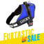 Personalized Dog Harness