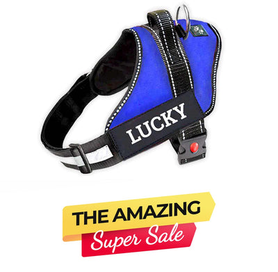 Personalized Dog Harness - BLUE