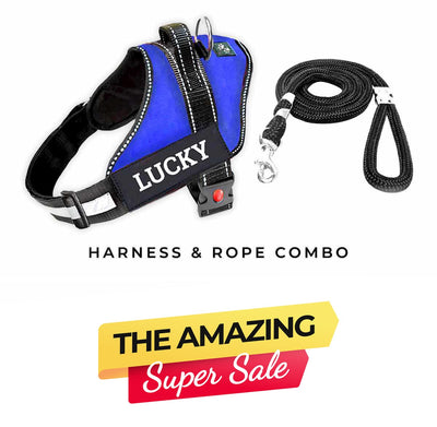 Personalized Dog Harness - BLUE