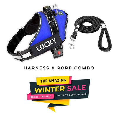 Personalized Dog Harness - BLUE