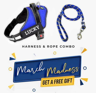 Personalized Dog Harness - BLUE