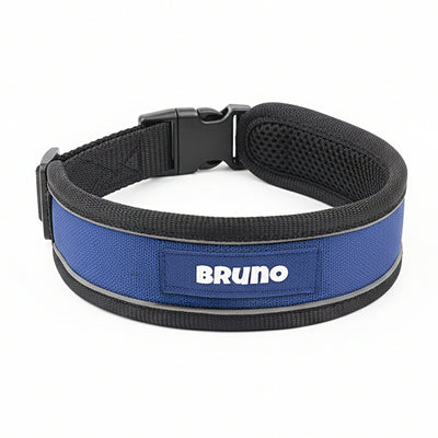 Personalized Matty Collar - BLUE