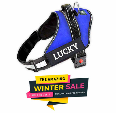 Personalized Dog Harness - BLUE