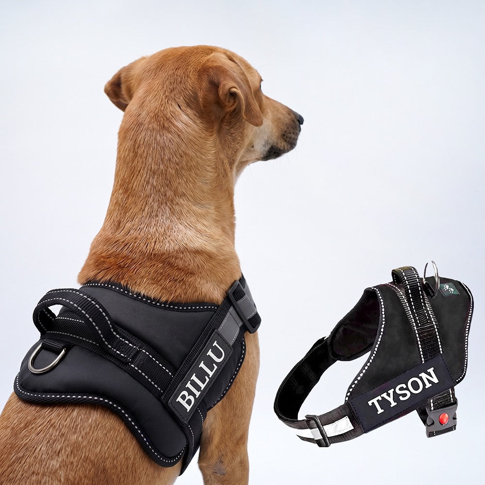 Personalized Dog Harness - BLACK
