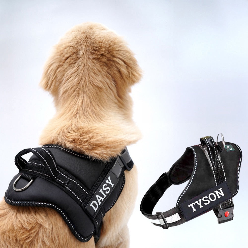 Personalized Dog Harness - BLACK