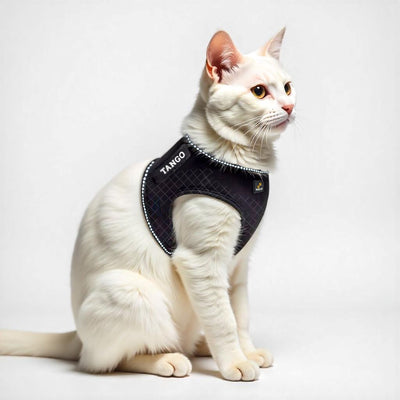 Personalized Cat Harness 2.0 - Black