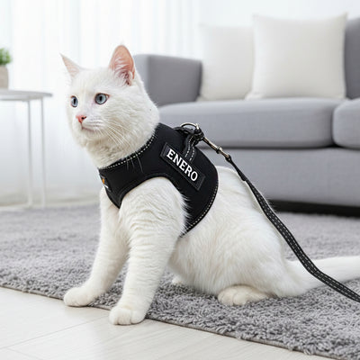 Personalized Cat Harness 2.0 - Black