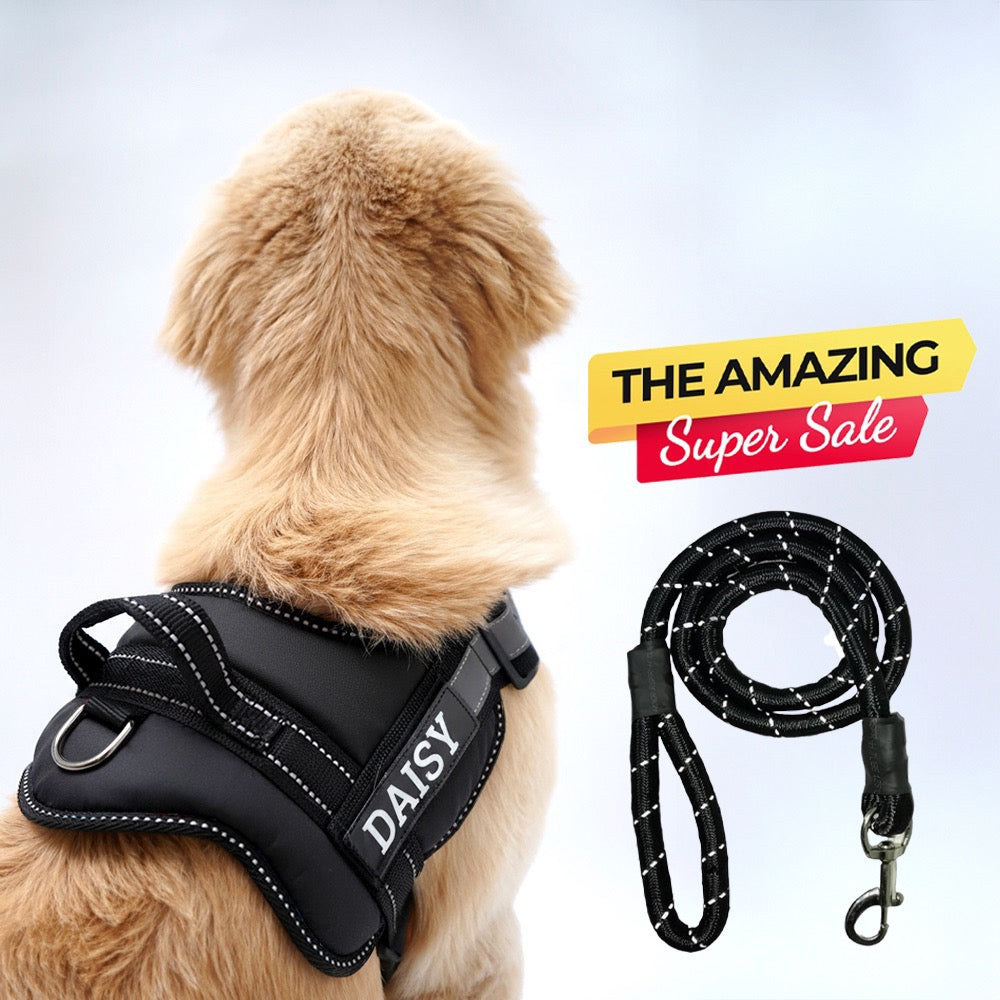 Personalized Dog Harness