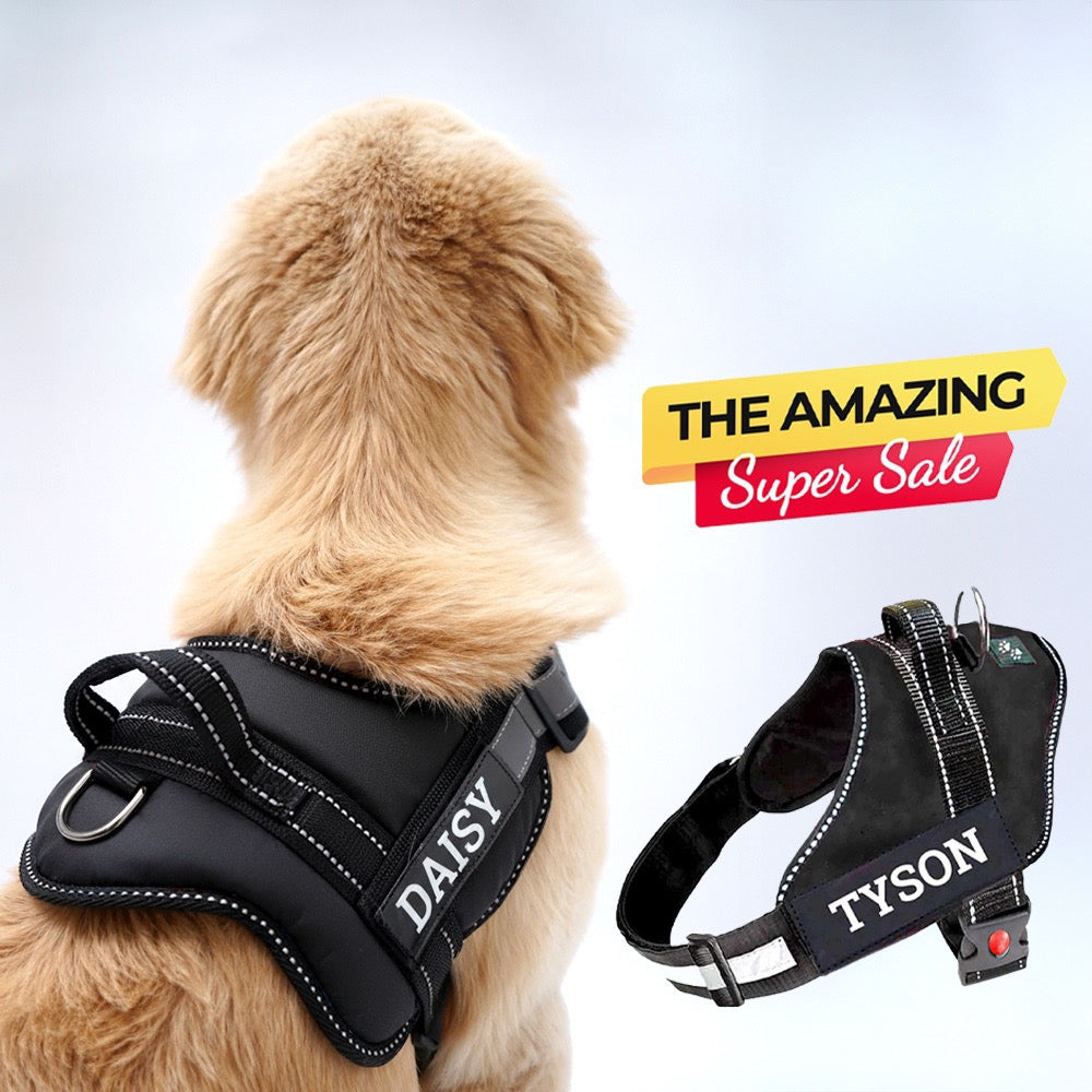 Personalized Dog Harness - BLACK
