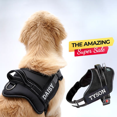 Personalized Dog Harness - BLACK