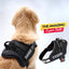 Personalized Dog Harness - BLACK