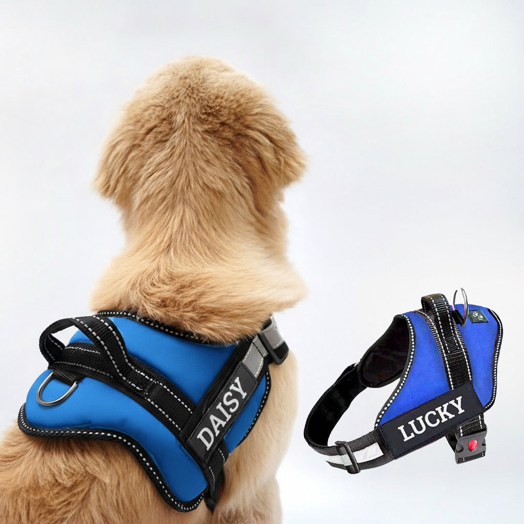 Personalized Dog Harness - BLUE