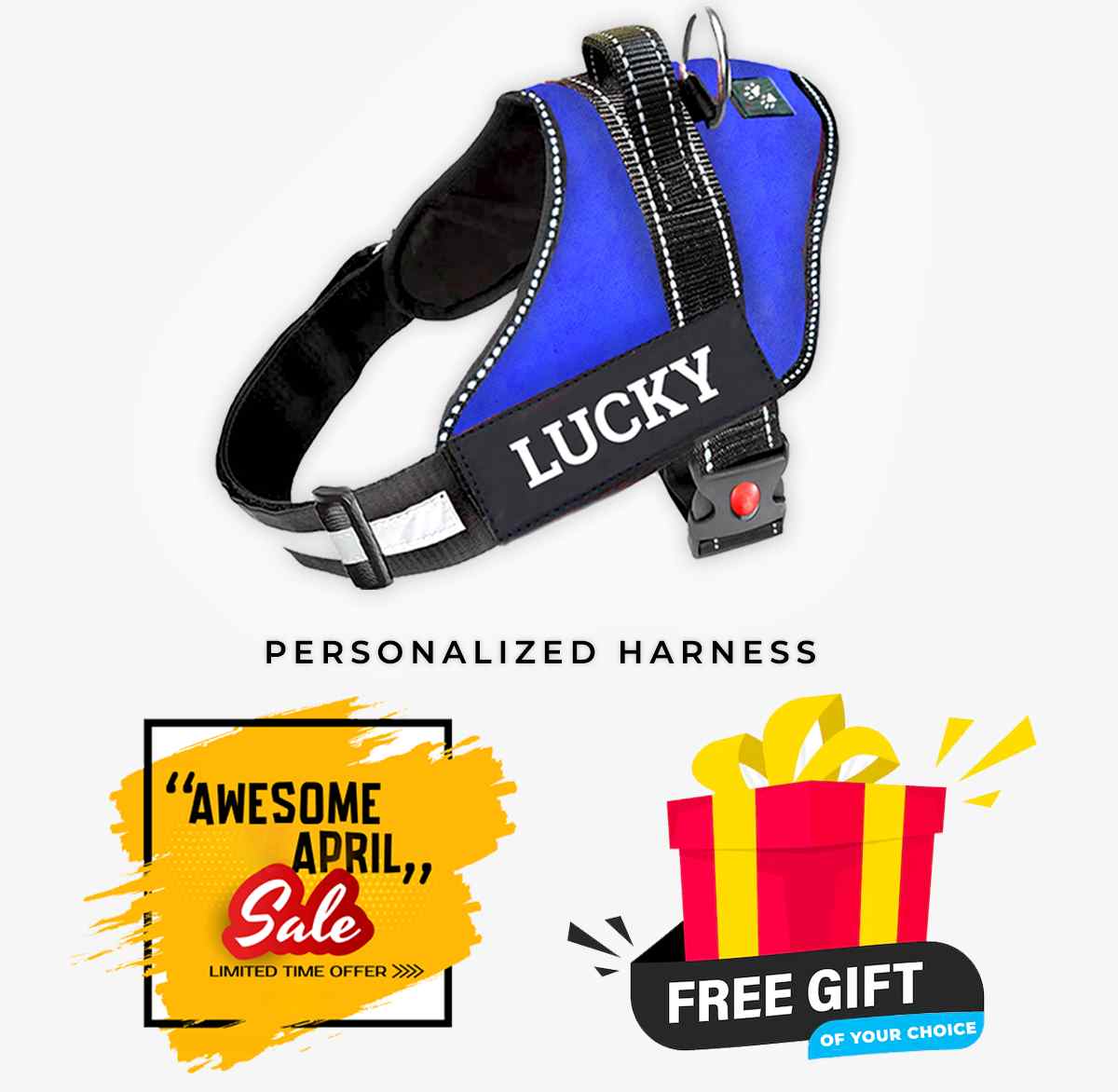 Personalized Dog Harness - BLUE