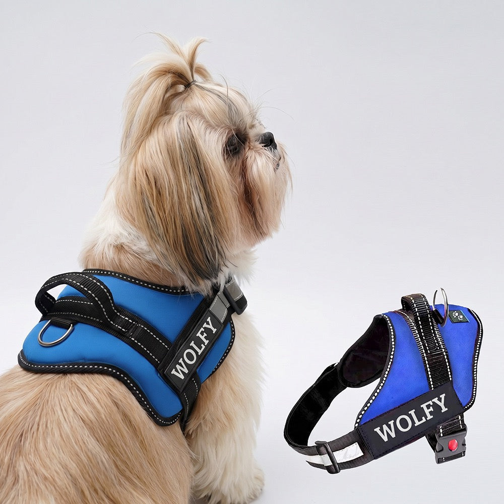 Personalized Dog Harness - BLUE