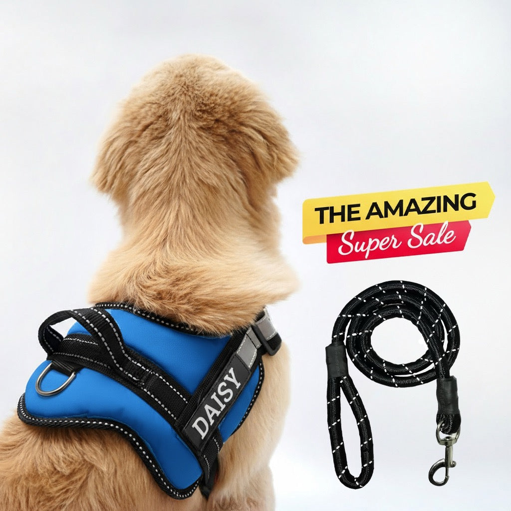 Personalized Dog Harness