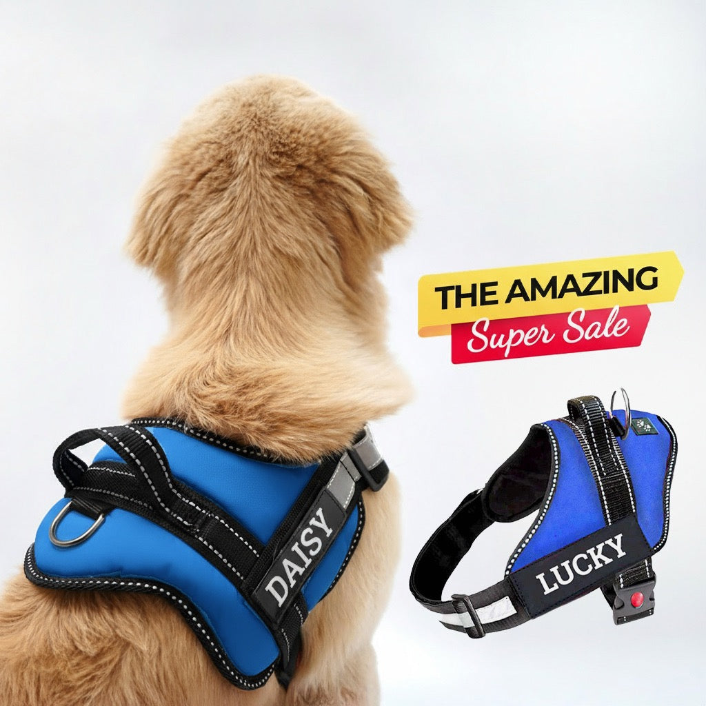 Small Custom Dog Leashes Personalized Dog Harness BLUE – Indihopshop