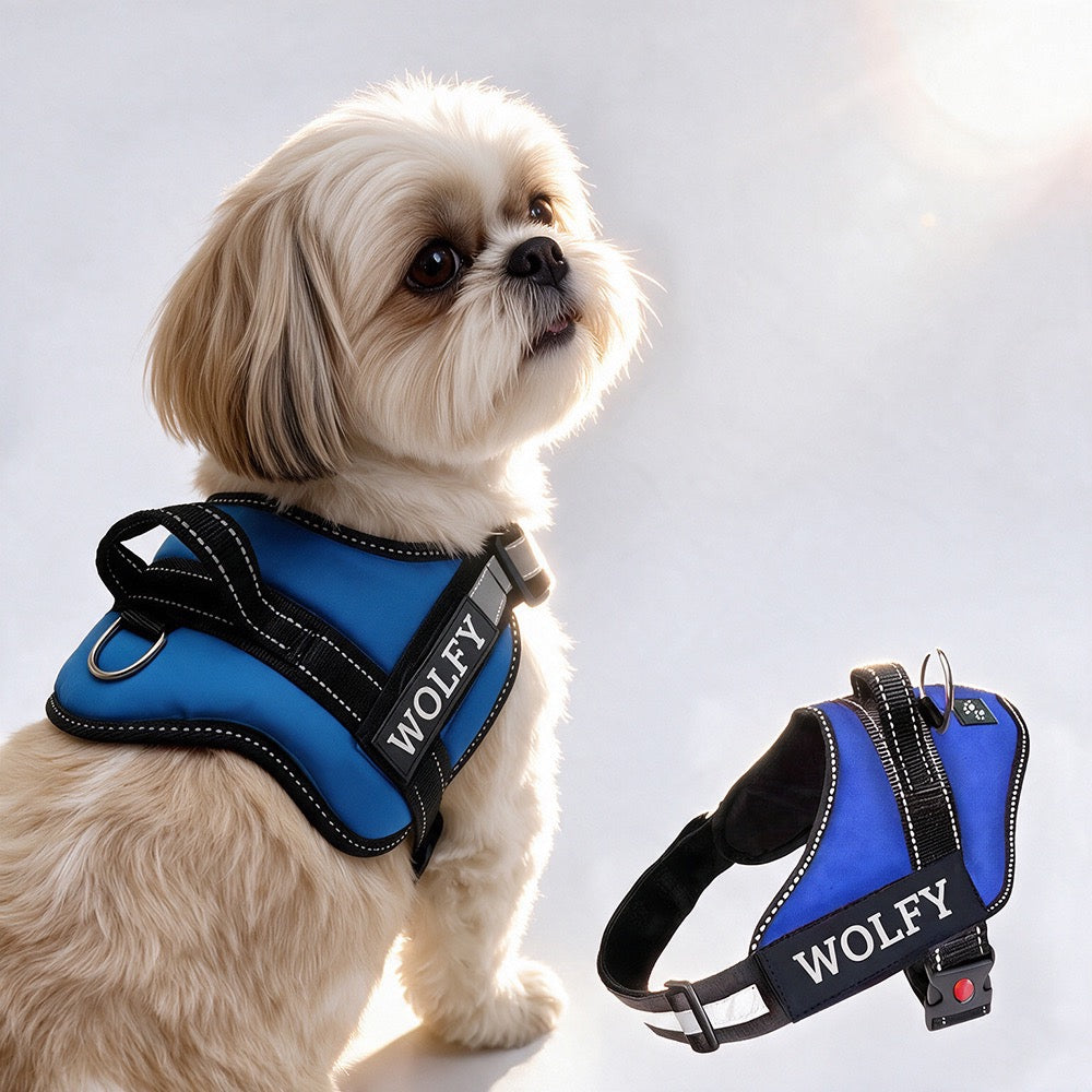 Personalized Dog Harness - BLUE