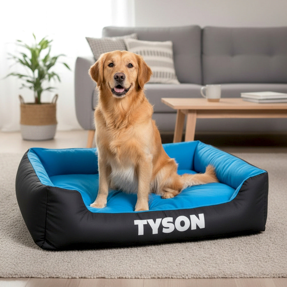 Personalized Comfy Dog Bed 2.0 - BLUE/BLACK