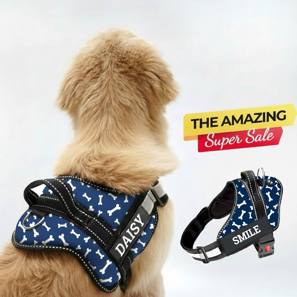 Personalized Dog Harness - LAST SIZES