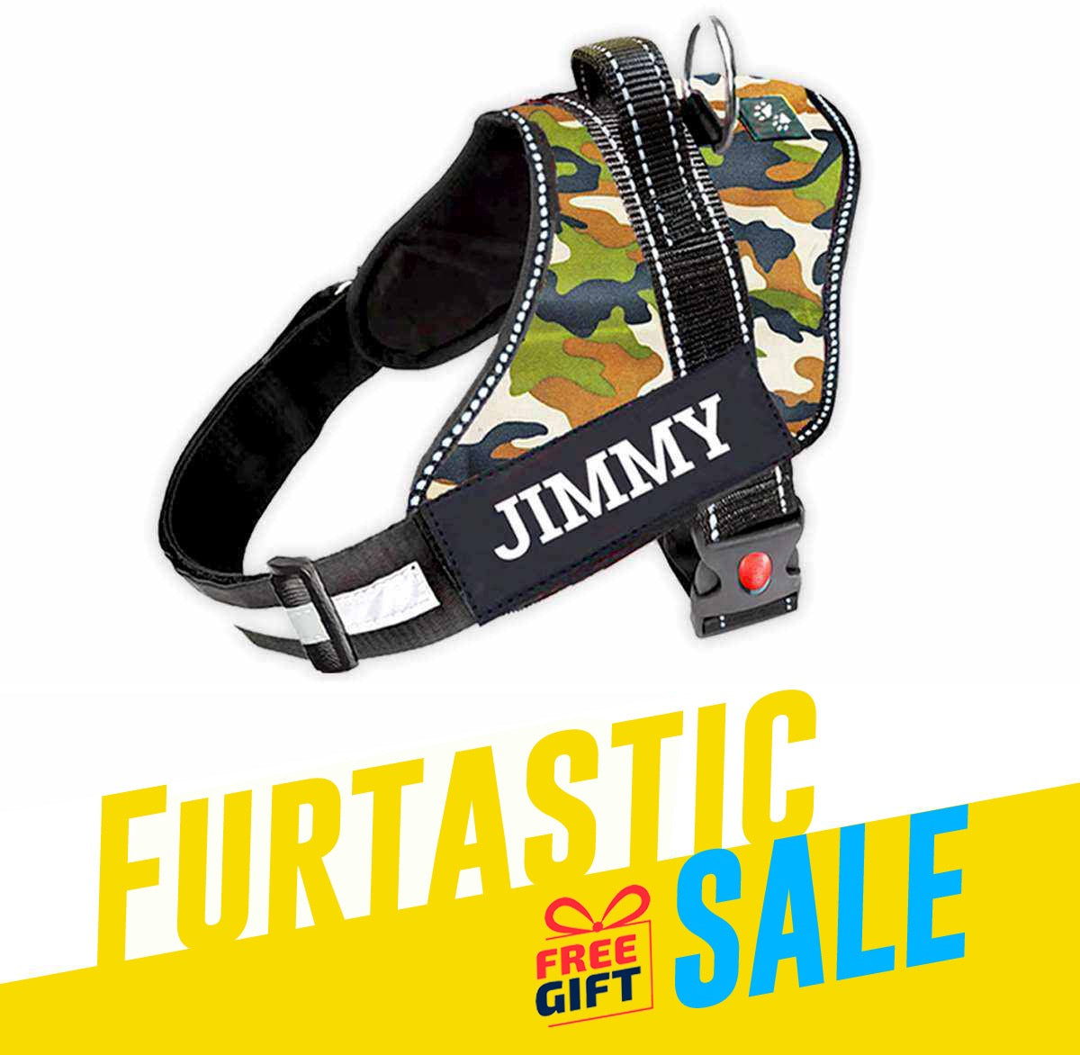 Personalized Dog Harness