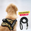 Personalized Dog Harness
