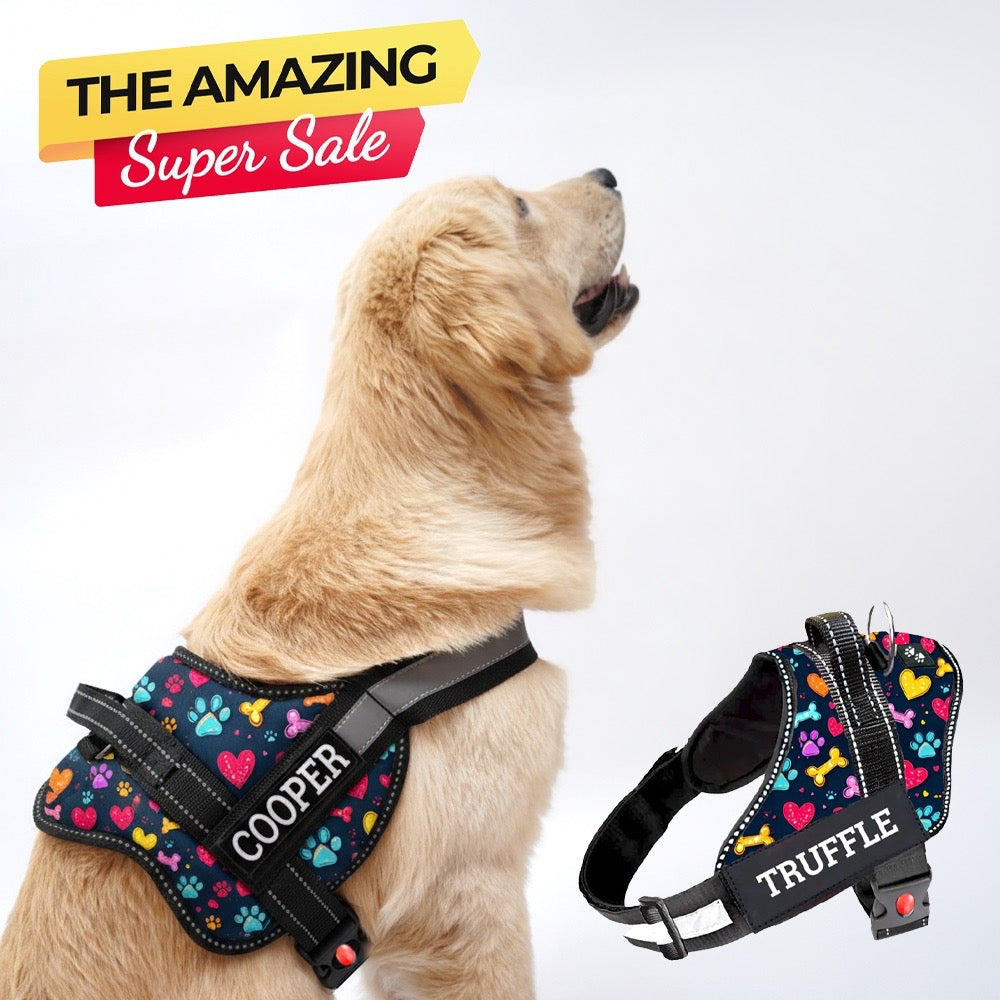 Personalized Dog Harness