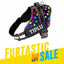 Personalized Dog Harness