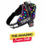 Personalized Dog Harness