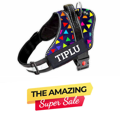 Personalized Dog Harness - COLOR BOMB