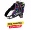 Personalized Dog Harness - COLOR BOMB