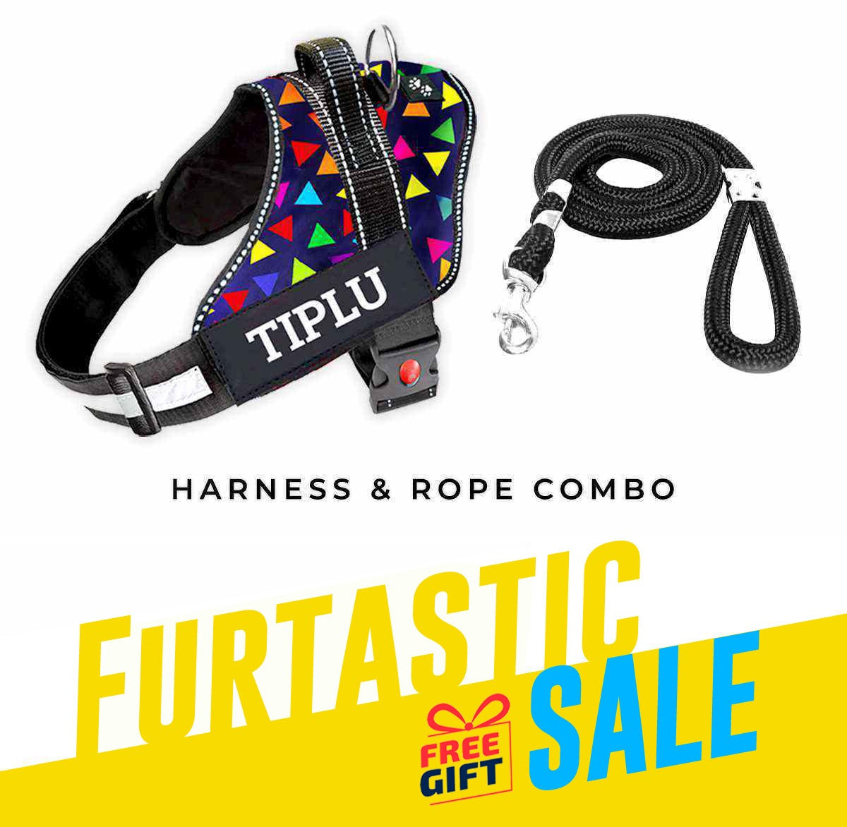Personalized Dog Harness