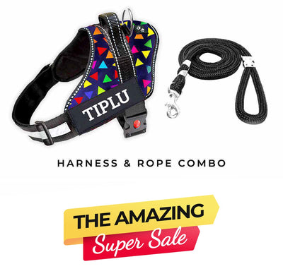 Personalized Dog Harness - COLOR BOMB
