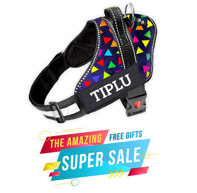 Personalized Dog Harness - COLOR BOMB