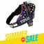 Personalized Dog Harness