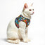 Personalized Cat Harness 2.0 - Comic Cubes